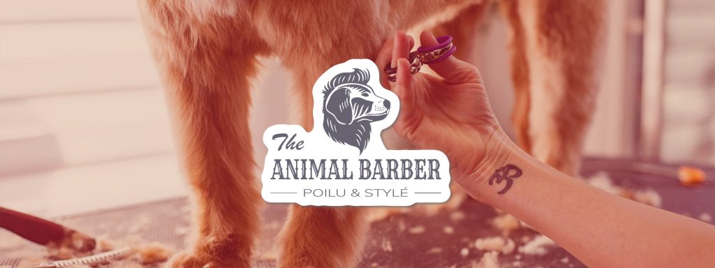 Identité visuelle salon de toilettage – logo The Animals Barber sur image d’un chien en pleine séance de toilettage