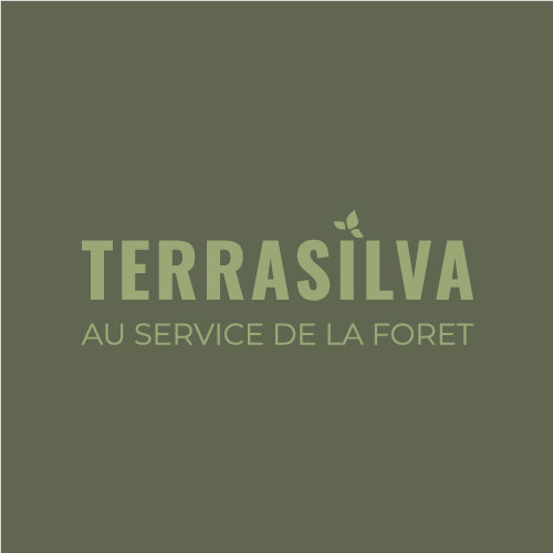 Logo Terrasilva - identité visuelle professionnelle créée par Studio Yblou