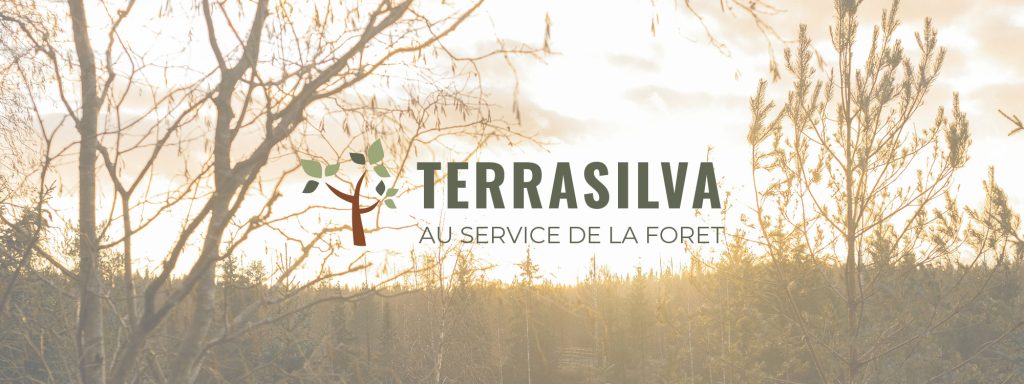 Bannière Terrasilva - design graphique forestier