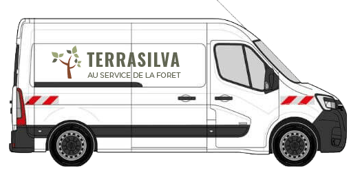 Sticker véhicule utilitaire – logo TERRESILVA entreprise sylvicole
