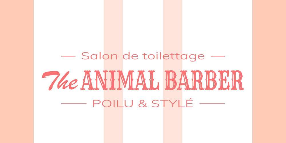 Déclinaison horizontale du logo The Animals Barber sans symbole – identité visuelle sobre et professionnelle