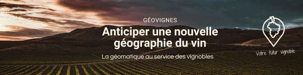 Bannière de l'identité visuelle de géovignes, une entreprise qui met la géomatique au services des vignerons.