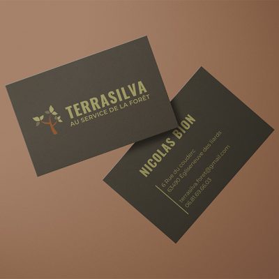 Carte de visite professionnelle pour Terrasilva – les essentiels de la communication visuelle